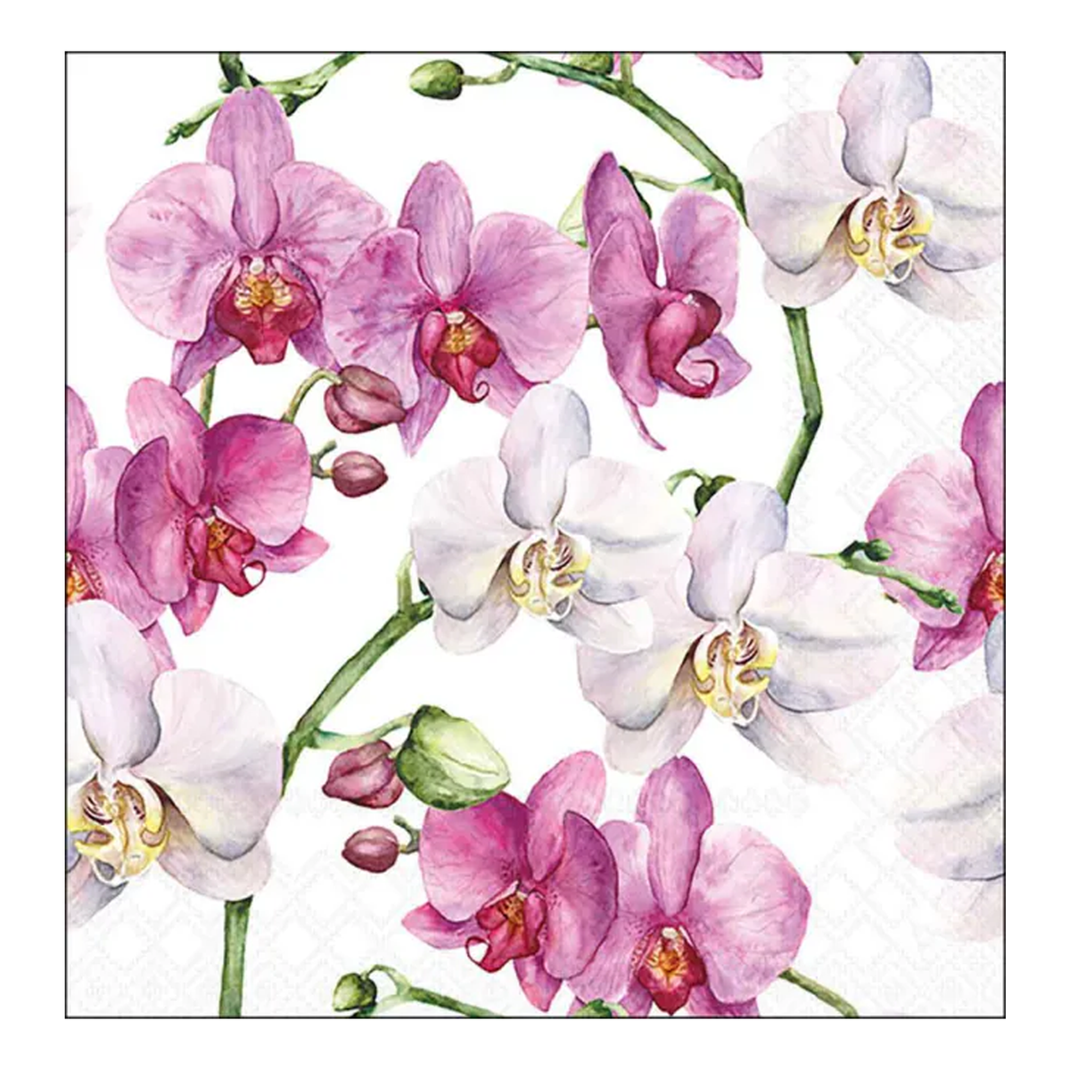 Elegant Orchids Napkins