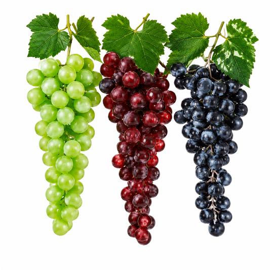 Hanging Grapes | 1 Bunch