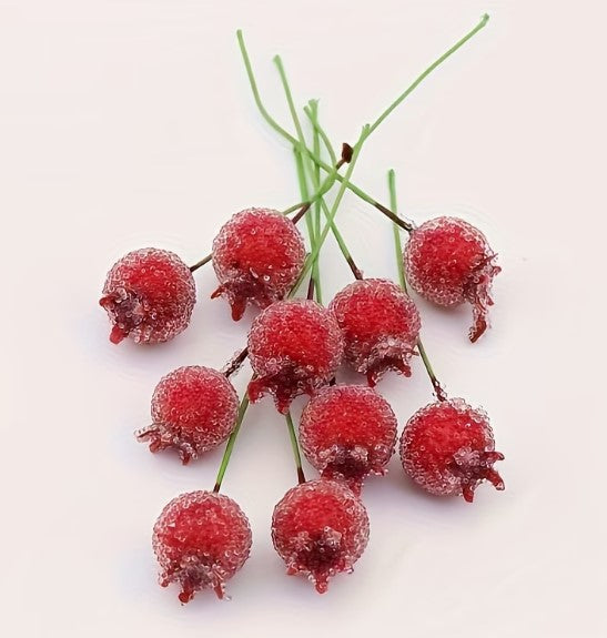 Mini Pomegranates | 12 pack