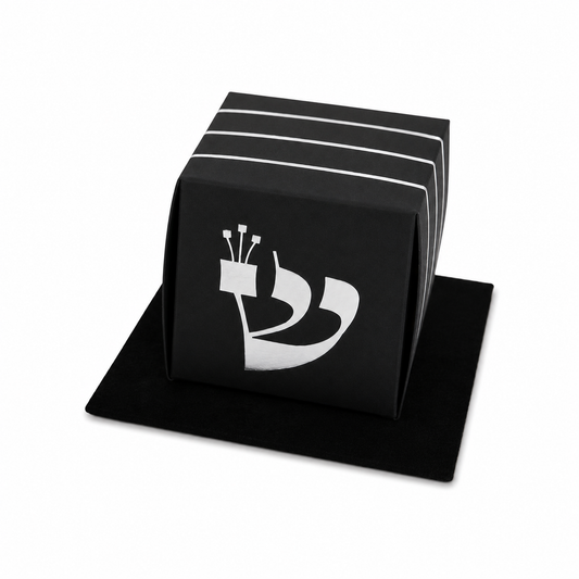 Tefillin Silver Box | 10 pack